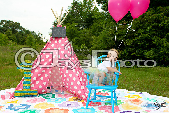Camden's 1st Birthday pictures_0556