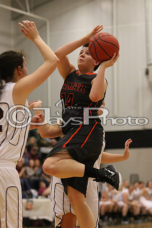 Lamar vs. Perryville Girls 3A State 3-6-2015 (©Justin Manning) JWM_091