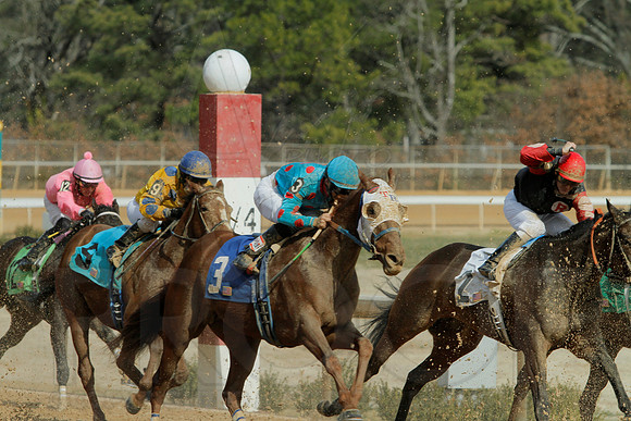 Southwest Stakes 2-17-2014 (© Justin Manning) JWM_0061