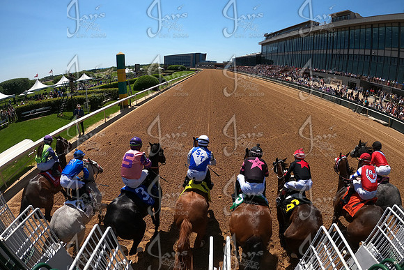 z250412_AppleBlossomDay_JWM_0314