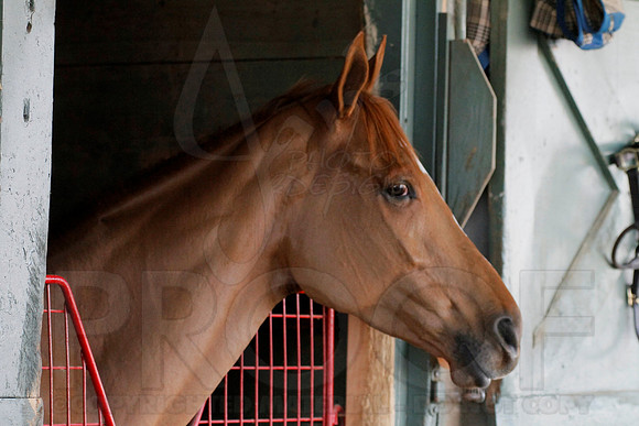Oaklawn 1-11-13 (Justin Manning)0007