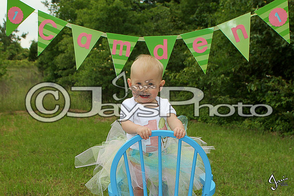Camden's 1st Birthday pictures_0475