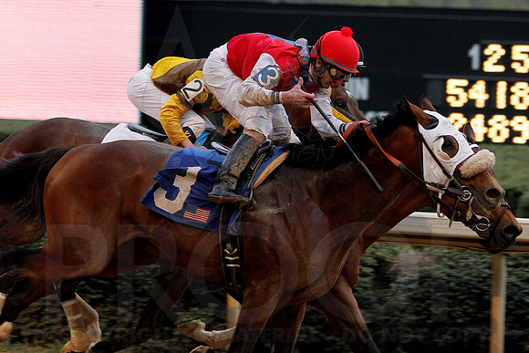 The 54th running of the Razorback Handicap 3-9-13 JWM0248 (©Justin Manning)
