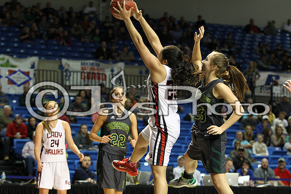 Nemo Vista vs. Wonderview 1A Girls State Finals 3-12-2015 (©Justin Manning) JWM_234