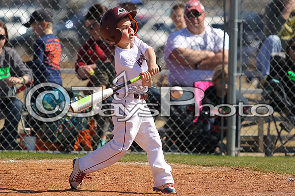 Benton Panthers vs. White Hall Dominators 2-27-16 JWM_0414