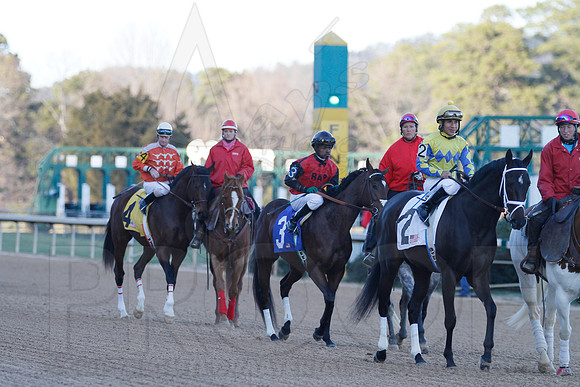 Oaklawn 1-21-13 (Smarty Jones Stakes) (Justin Manning)0160
