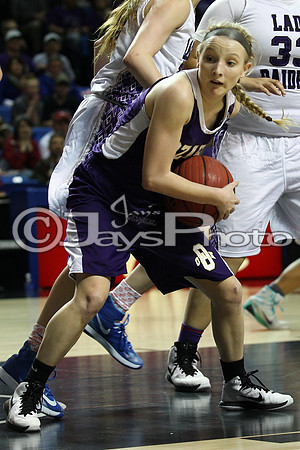 Riverview vs. Ozark 4A Girls State Finals 3-13-2015 (©Justin Manning) JWM_237
