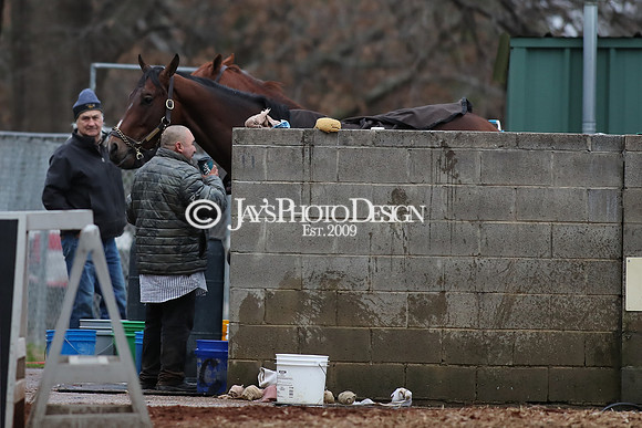 z250104_SmartyJonesStakesDay _JWM_0121
