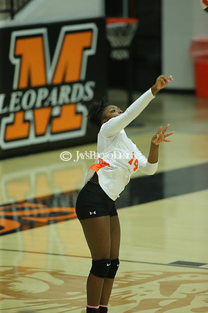 Camden Fairview @ Malvern JV_JWM_0246