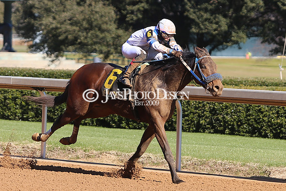 z240101_SmartyJonesStakesDay_JWM_0030