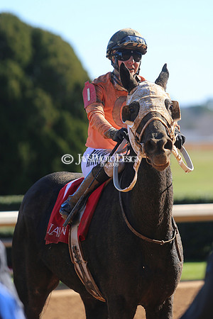 z240101_SmartyJonesStakesDay_JWM_0047