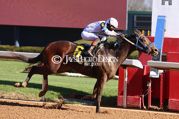 z240101_SmartyJonesStakesDay_JWM_0037