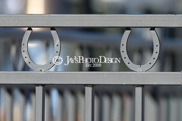 z240101_SmartyJonesStakesDay_JWM_0222