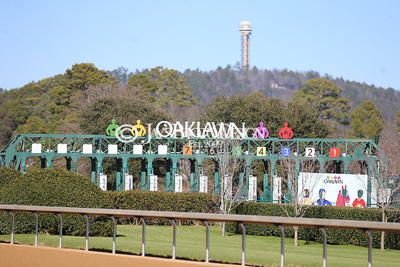 z240101_SmartyJonesStakesDay_JWM_0219