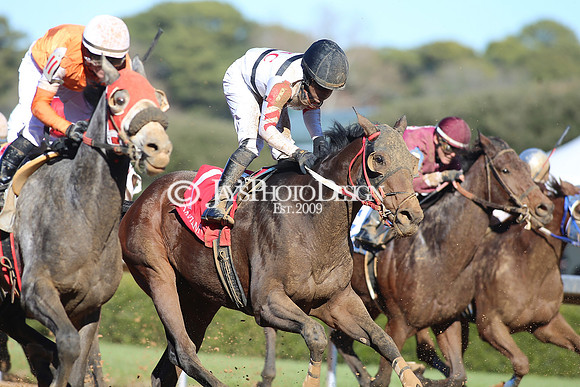 z240101_SmartyJonesStakesDay_JWM_0247