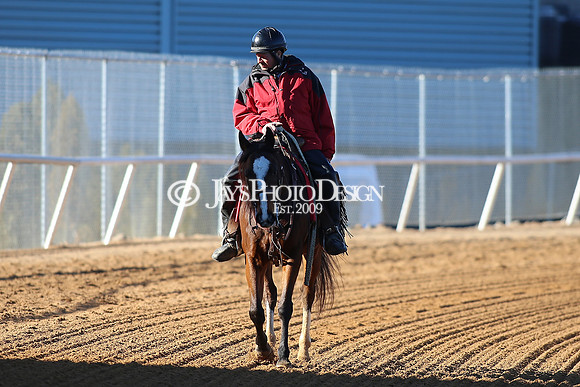 z240101_SmartyJonesStakesDay_JWM_0296
