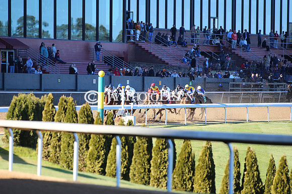 z240101_SmartyJonesStakesDay_JWM_0301