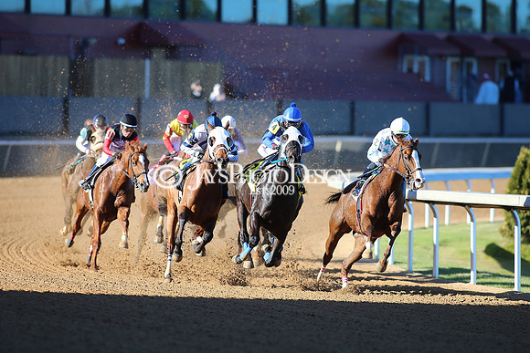 z240101_SmartyJonesStakesDay_JWM_0326