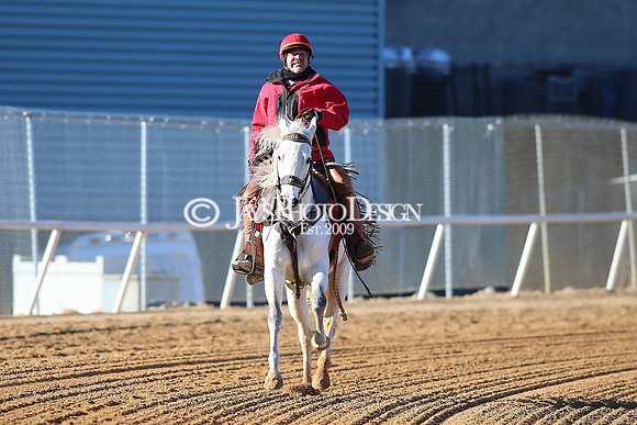 z240101_SmartyJonesStakesDay_JWM_0337