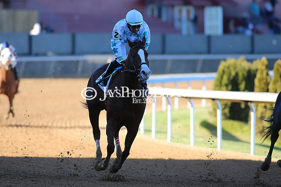 z240101_SmartyJonesStakesDay_JWM_0345
