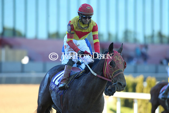 z240101_SmartyJonesStakesDay_JWM_0352