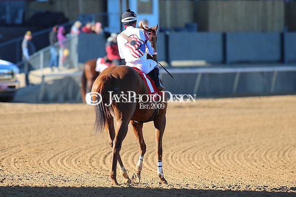 z240101_SmartyJonesStakesDay_JWM_0354