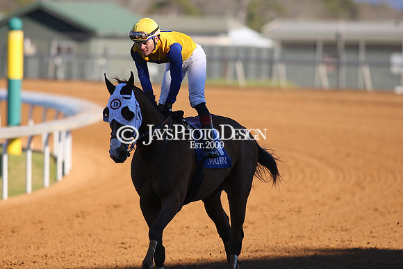 z240101_SmartyJonesStakesDay_JWM_0360