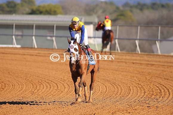 z240101_SmartyJonesStakesDay_JWM_0357