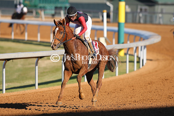 z240101_SmartyJonesStakesDay_JWM_0367