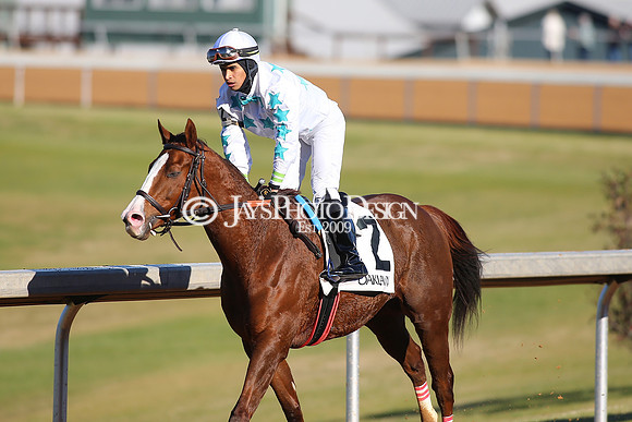 z240101_SmartyJonesStakesDay_JWM_0371