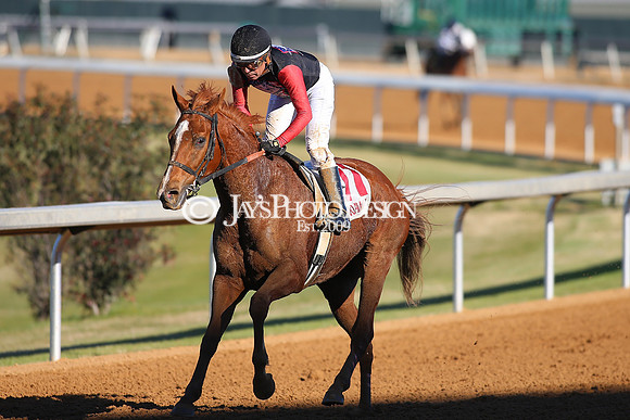 z240101_SmartyJonesStakesDay_JWM_0368