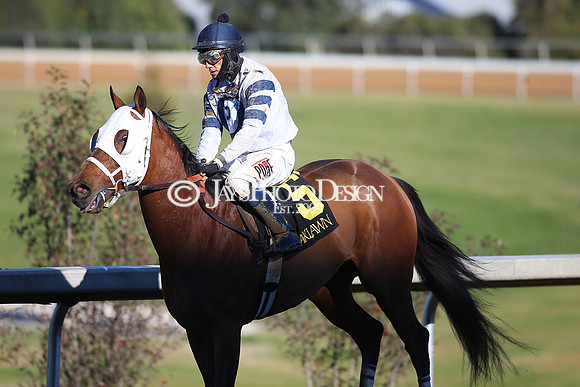 z240101_SmartyJonesStakesDay_JWM_0375