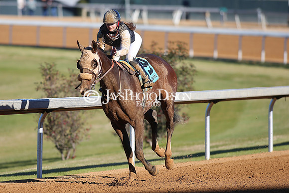 z240101_SmartyJonesStakesDay_JWM_0382
