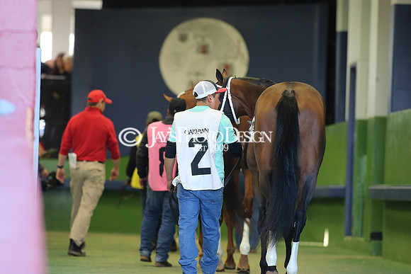 z240101_SmartyJonesStakesDay_JWM_0591