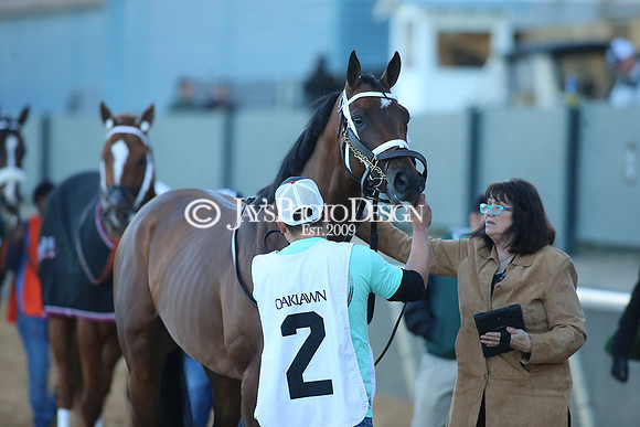 z240101_SmartyJonesStakesDay_JWM_0558
