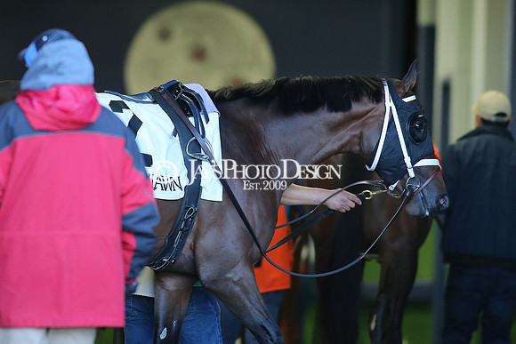 z240101_SmartyJonesStakesDay_JWM_0630