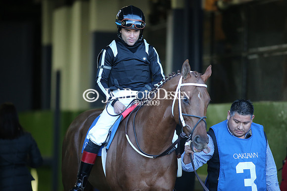 z240101_SmartyJonesStakesDay_JWM_0651