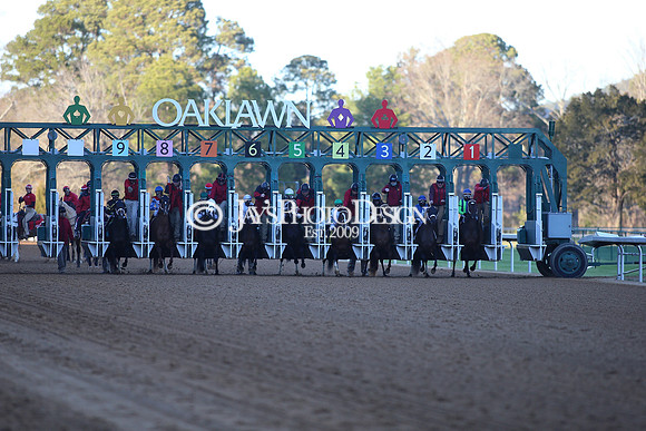 z240101_SmartyJonesStakesDay_JWM_0816