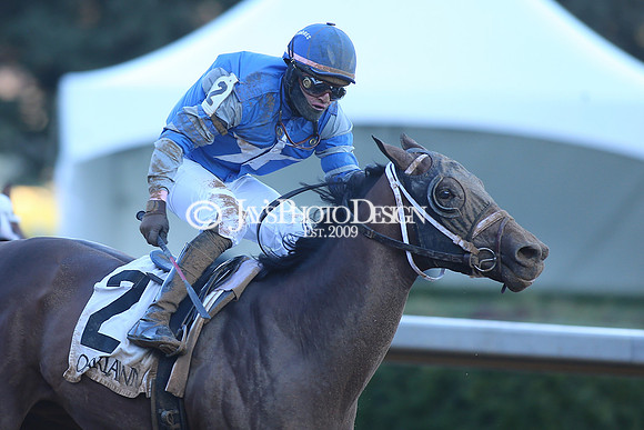 z240101_SmartyJonesStakesDay_JWM_0902