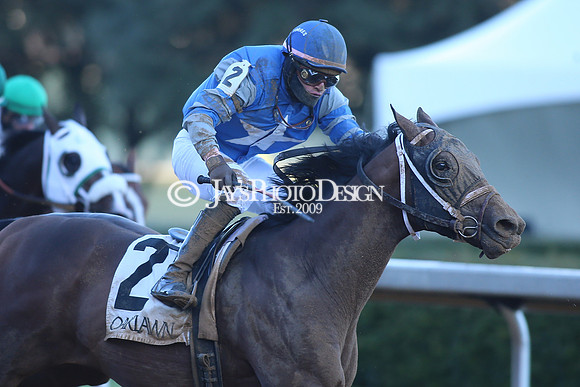 z240101_SmartyJonesStakesDay_JWM_0901