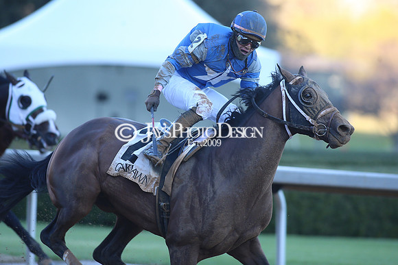 z240101_SmartyJonesStakesDay_JWM_0903