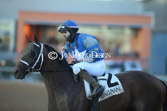 z240101_SmartyJonesStakesDay_JWM_0994
