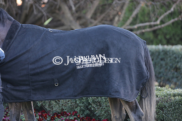 z240101_SmartyJonesStakesDay_JWM_1060