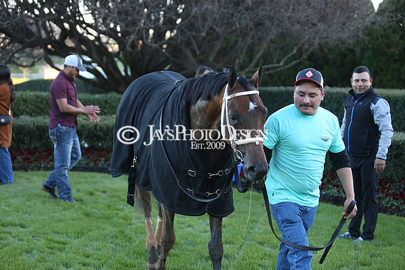 z240101_SmartyJonesStakesDay_JWM_1065