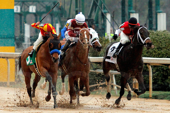 Rebel Stakes 3-15-14 3-15-2014 (© Justin Manning) JWM_0225-2