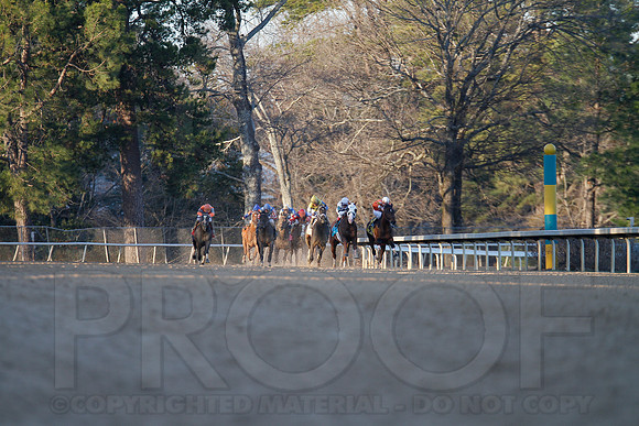 Oaklawn 1-21-13 (Smarty Jones Stakes) (Justin Manning)0289