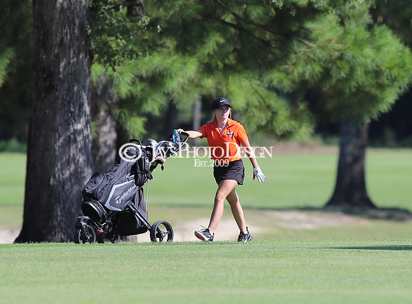 High School Golf (Bauxite @ Malvern) 8-26-24_JWM_0044