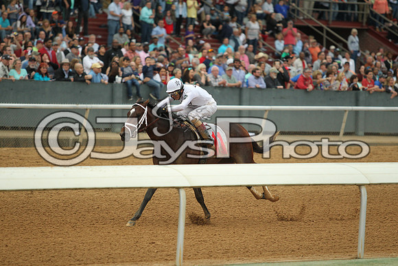 Southwest Stakes (GradeIII) 2-20-17_JWM00916