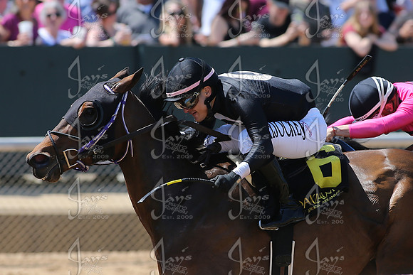 z250412_AppleBlossomDay_JWM_0576