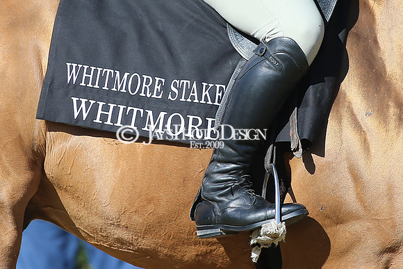 z220319_WhitmoreStakesday_Manning_0248